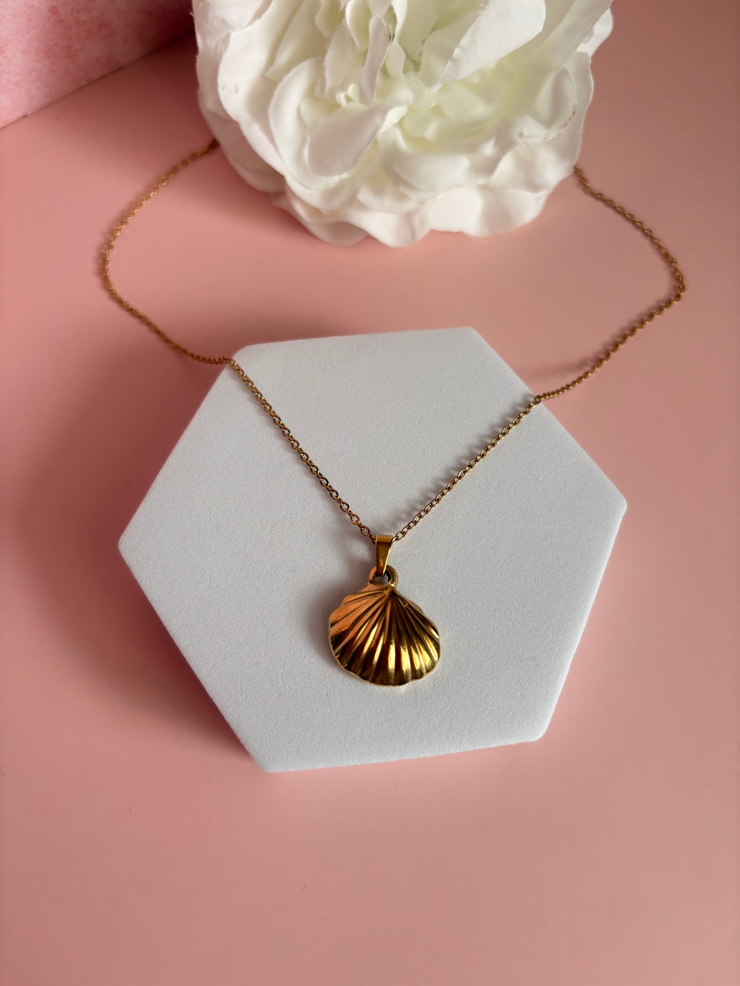 Collier COQUILLAGE minimaliste