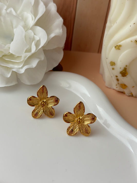 Boucles d'oreilles CAPUCINE