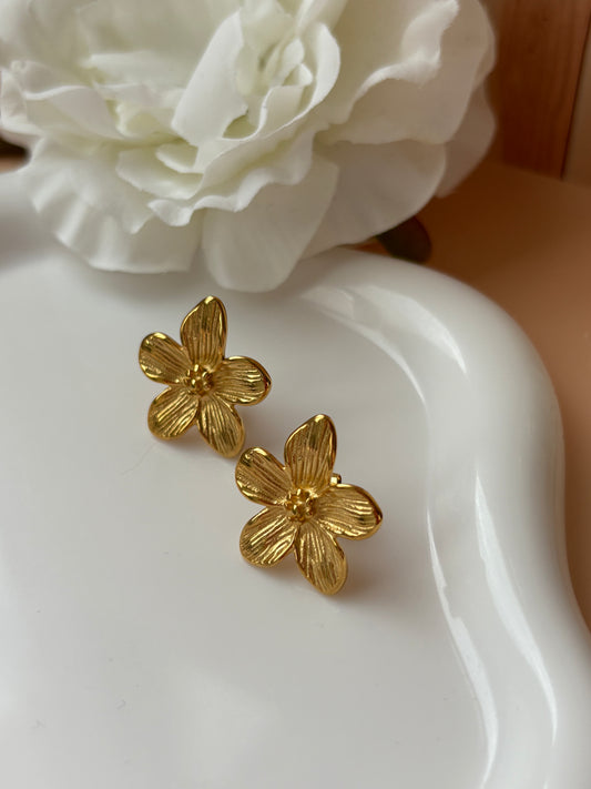 Boucles d'oreilles CAPUCINE